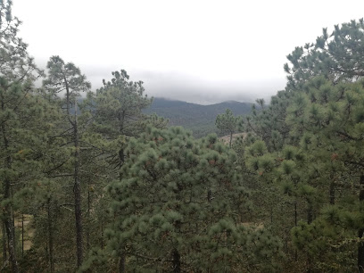 San Isidro Llano Grande Pueblos Mancomunados
